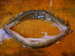 食ったど～♪　あんこう！