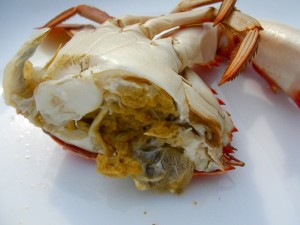 食ったど～♪　ワタリガニ！　イシガニ♪