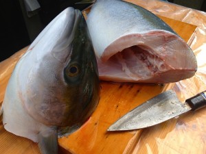 食ったど～♪　ぶり！　鰤♪