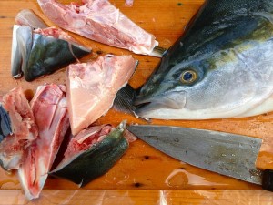 食ったど～♪　ぶり！　鰤♪