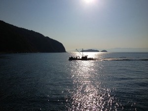 釣ったど～♪　波止の五目釣り !