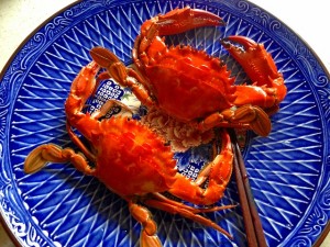 獲ったど～♪　ワタリガニ！　イシガニ♪