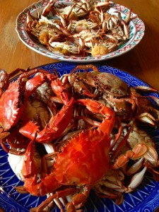 獲ったど～♪　ワタリガニ！　イシガニ♪