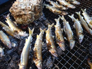 食ったど～♪　岩牡蠣、鮎！　などなど海でも川でも山でも三昧♪