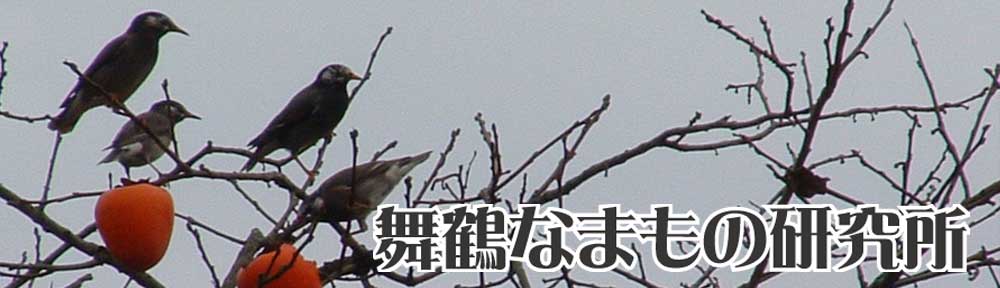 舞鶴なまもの研究所