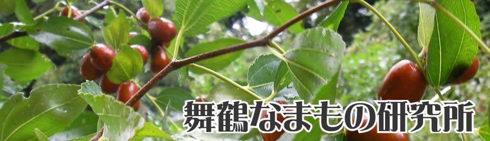 舞鶴なまもの研究所