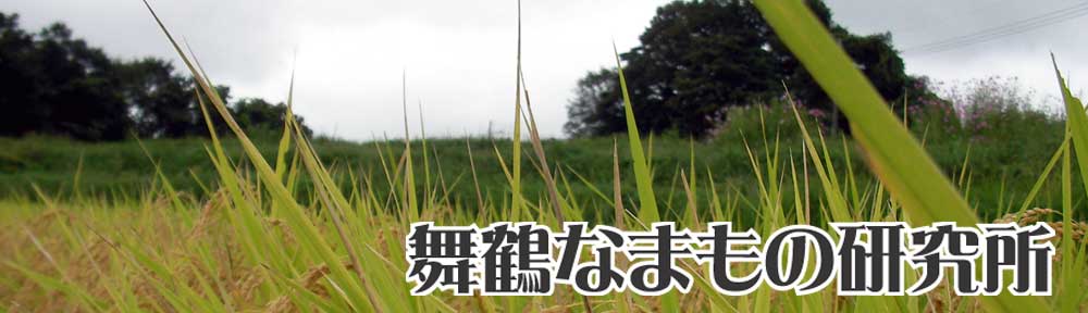 舞鶴なまもの研究所